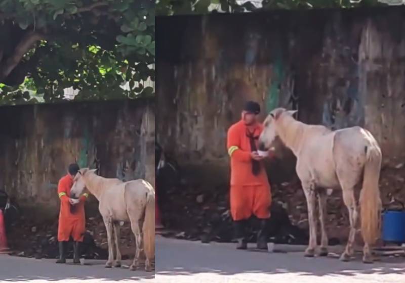  Gari flagrado dando água a cavalo com sede emociona internautas [vídeo]