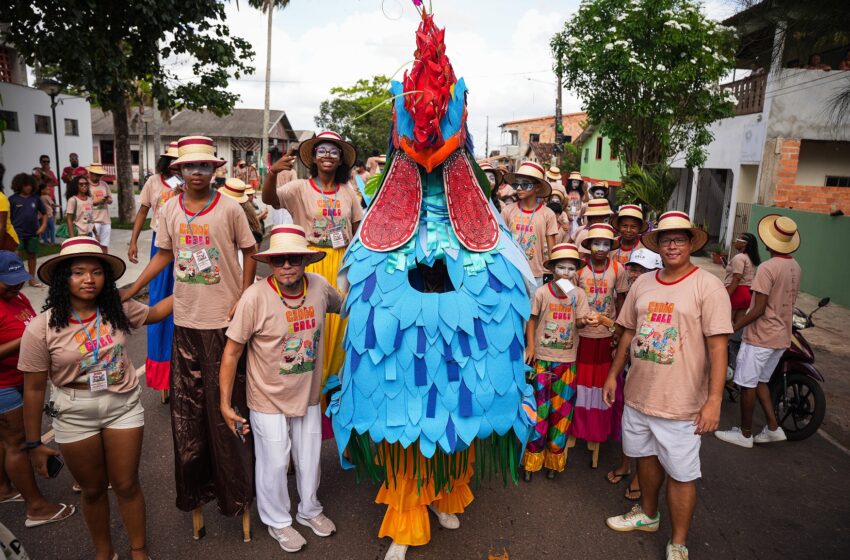  Arraial do Pavulagem reúne cerca de 3 mil pessoas no cortejo do 18º Cordão do Galo em Cachoeira do Arari (PA)